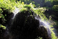 水花开山崖