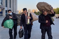奔波（手机拍）