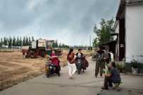 十载麦收今又至  故土翻天换新颜