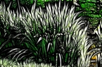 芳草萋萋