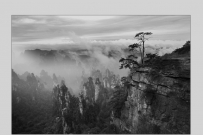 风起云涌