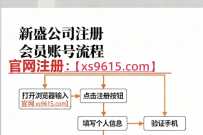 薇【94702677】新盛公司怎么注册账号