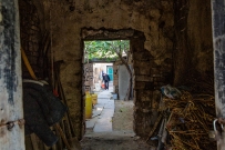 美丽乡村