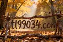 徽—ll522zxc】新盛实体公司客服电话是多少