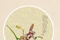 【原创】兰花