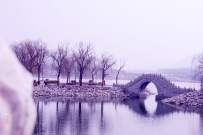 水墨冬景