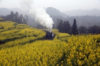奔驰在春色里