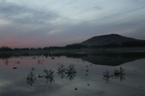 水泊梁山