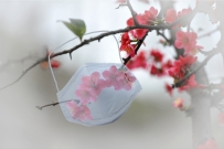 【原创】无题