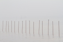 东平湖