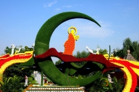 花坛