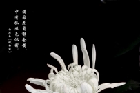 不与百花争艳丽