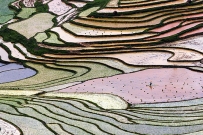广西南丹田园风光