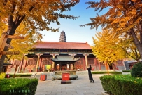 金秋宝相寺