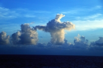 海龟云