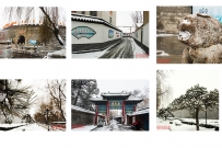 圣城降瑞雪