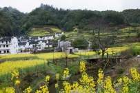 小桥人家