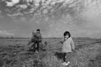 《故土的年轮》