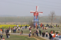 兖州万亩油菜花基地拍照
