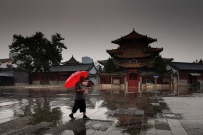 雨中即景