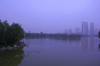 南池的早晨