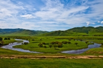 龙江湿地