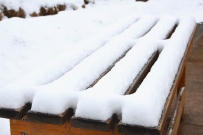 2014久违的雪