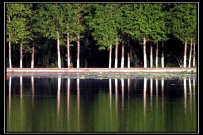 【济宁小景】