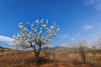 济宁春色如许②‖最是一年春好处