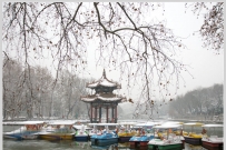 公园雪景