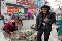 暗喜-------今年的葱价