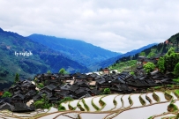 云上梯田