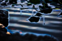 荷