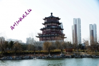 南池掠影